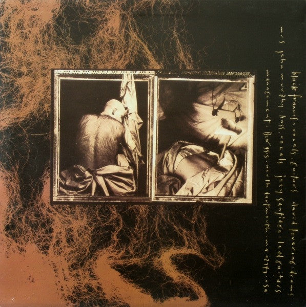 Pixies : Come On Pilgrim (LP, MiniAlbum)