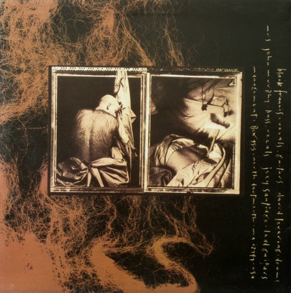Pixies : Come On Pilgrim (LP, MiniAlbum)