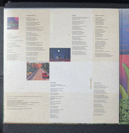 Death Cab For Cutie : I Built You A Tower (LP, Album, Ltd, Gre)