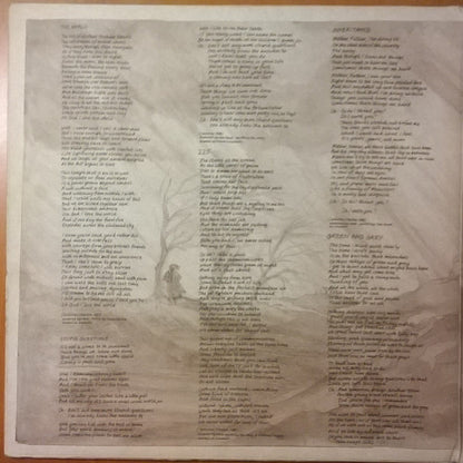 New Model Army : Thunder And Consolation (LP, Album, Gat)