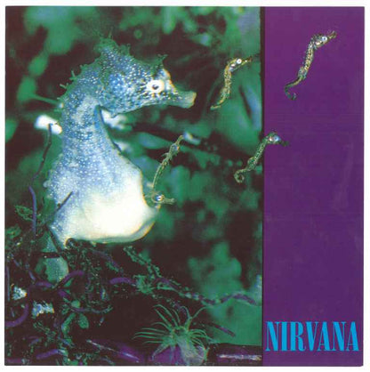 Nirvana : All Apologies ● Rape Me ● MV (12", Single)