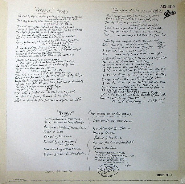 The The : Perfect (12", Single)