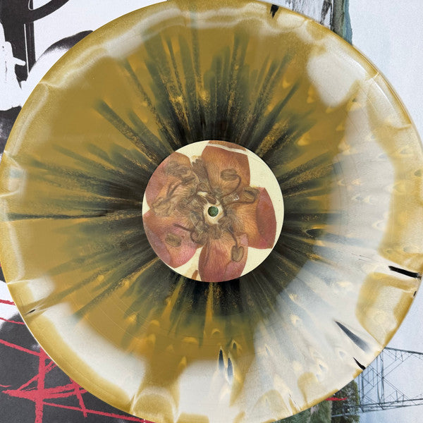 beabadoobee : Pylon (LP, Album, Ltd, Foi)
