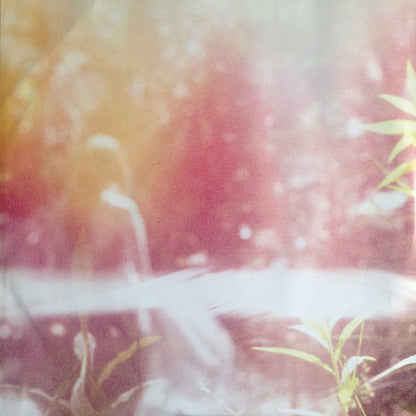 Passion Pit : Gossamer (2xLP, Album, Gat + CD, Album)