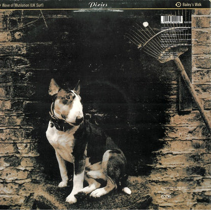 Pixies : Here Comes Your Man (12", Single)