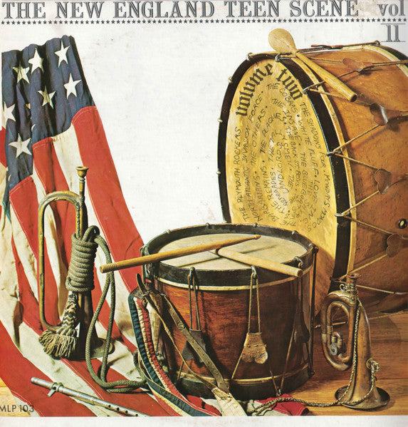 Various : The New England Teen Scene Vol. II (LP, Comp)