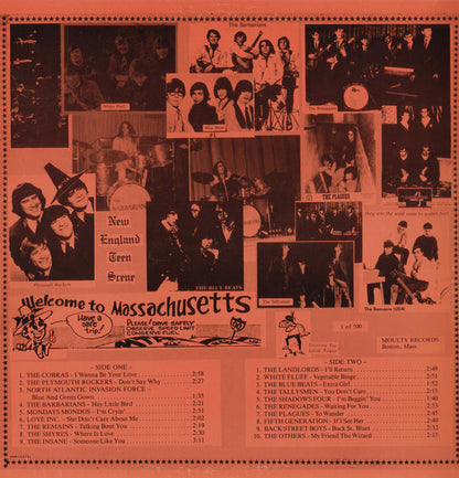 Various : The New England Teen Scene Vol. II (LP, Comp)
