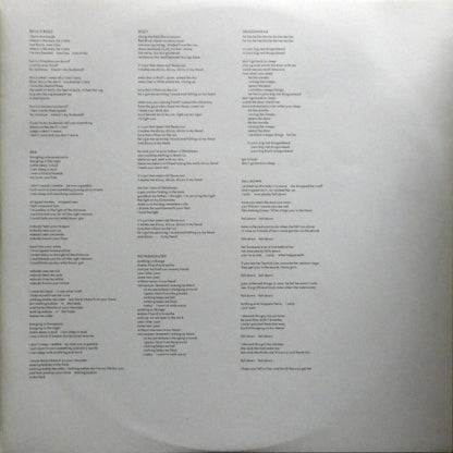 Throwing Muses : Hunkpapa (LP, Album, Fli)