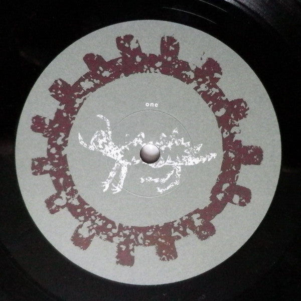 Throwing Muses : Hunkpapa (LP, Album, Fli)