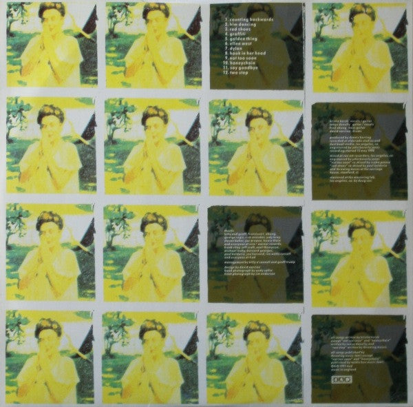 Throwing Muses : The Real Ramona (LP, Album)