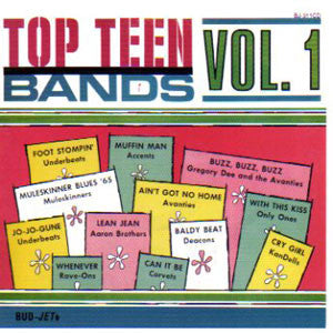 Various : Top Teen Bands Vol. 1 (LP, Comp, RE, Unofficial)