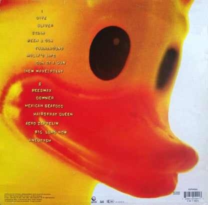 Nirvana : Incesticide (LP, Comp)