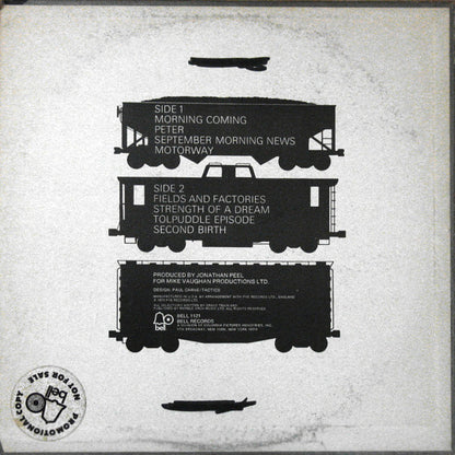 Gravytrain* : Second Birth (LP, Album, Promo)