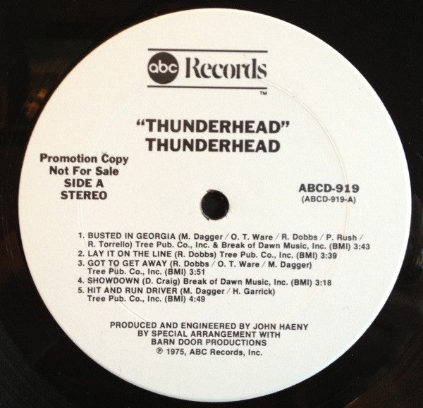 Thunderhead (5) : Thunderhead (LP, Promo)