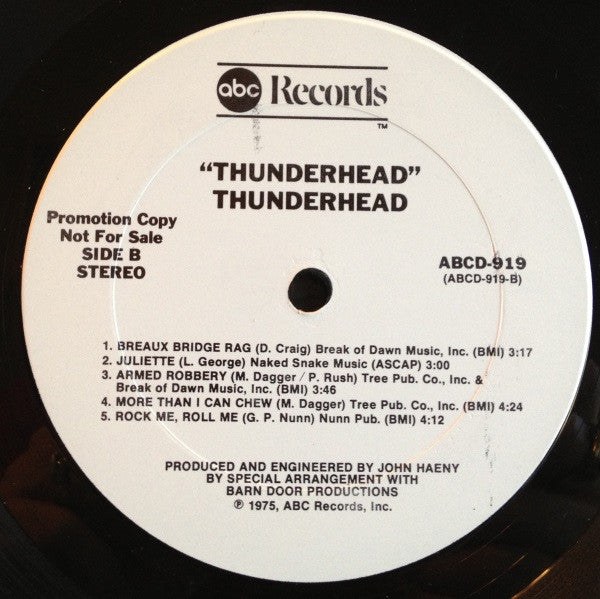 Thunderhead (5) : Thunderhead (LP, Promo)
