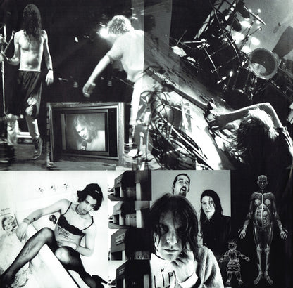 Nirvana : In Utero (LP, Album)