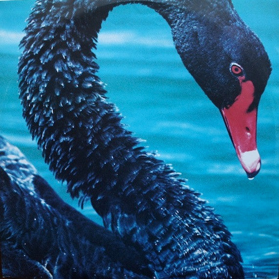The Triffids : The Triffids Present The Black Swan (LP, Album)