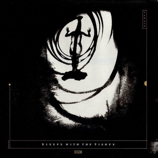 Pieter Nooten • Michael Brook : Sleeps With The Fishes (LP, Album)