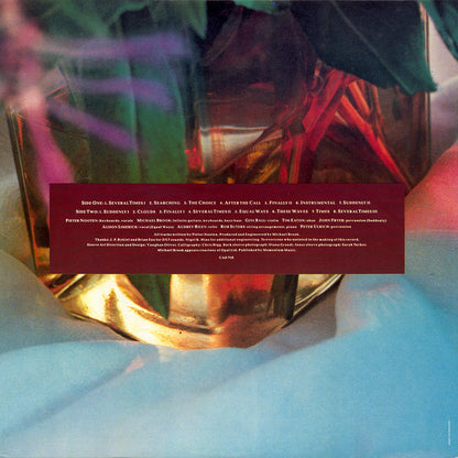 Pieter Nooten • Michael Brook : Sleeps With The Fishes (LP, Album)