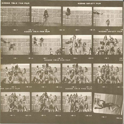 Hawkwind : Hall Of The Mountain Grill (LP, Album)