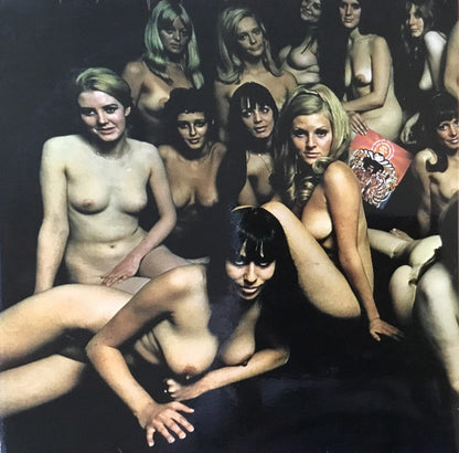 The Jimi Hendrix Experience : Electric Ladyland (2xLP, Album, RE)