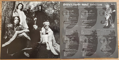 Gorky's Zygotic Mynci : Bwyd Time (LP, Gat)