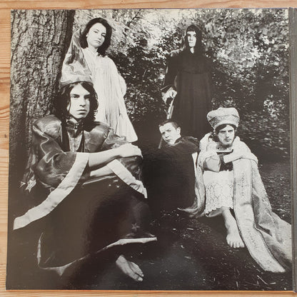 Gorky's Zygotic Mynci : Bwyd Time (LP, Gat)