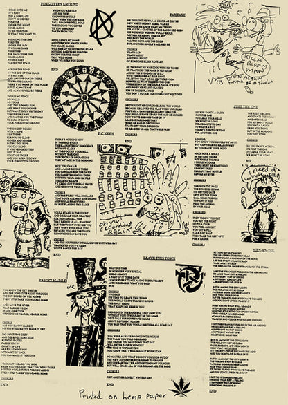 The Levellers : Zeitgeist (LP, Album)