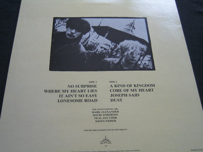 The Wild Flowers : Dust (12", MiniAlbum)