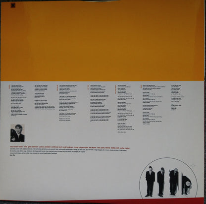 Echobelly : Everyone's Got One (LP, Album, Ltd)