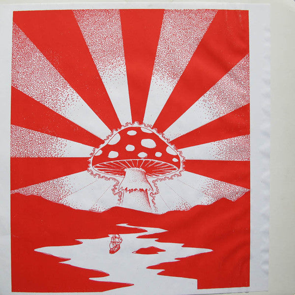 Various : The Psychedelic Voyage (LP, Comp, Ltd, Unofficial)