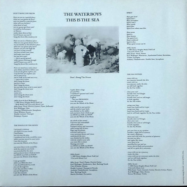 The Waterboys : This Is The Sea (LP, Album, RE)