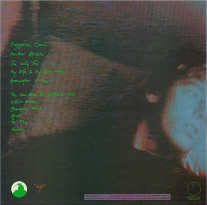 Robyn Hitchcock & The Egyptians : Fegmania! (LP, Album)