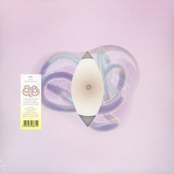 Björk : Family (Bloom's North Mix)  (12", S/Sided, Single, Etch, Ltd, Tra)