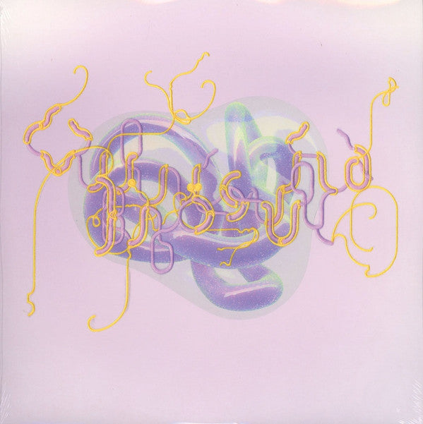 Björk : Family (Bloom's North Mix)  (12", S/Sided, Single, Etch, Ltd, Tra)