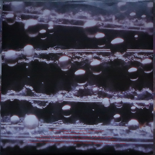 Swervedriver : Raise (LP, Album)