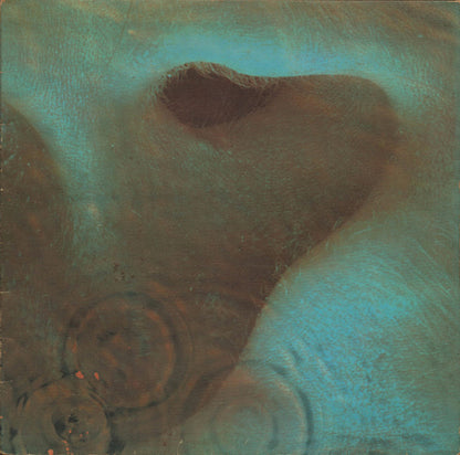 Pink Floyd : Meddle (LP, Album, RE, Gat)