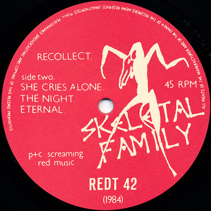 Skeletal Family : Recollect (12", MiniAlbum)