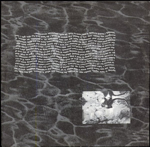 Nirvana : Nevermind (LP, Album)