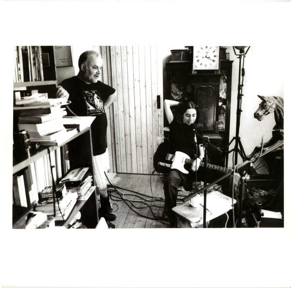 P J Harvey* : The Peel Sessions 1991 - 2004 (LP, Album)