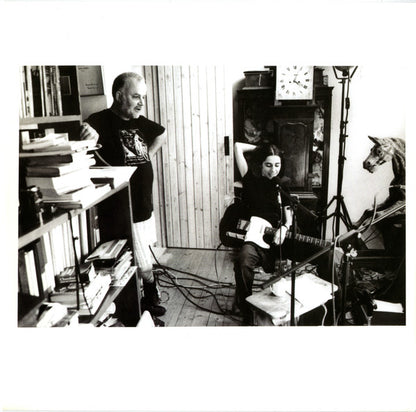 P J Harvey* : The Peel Sessions 1991 - 2004 (LP, Album)