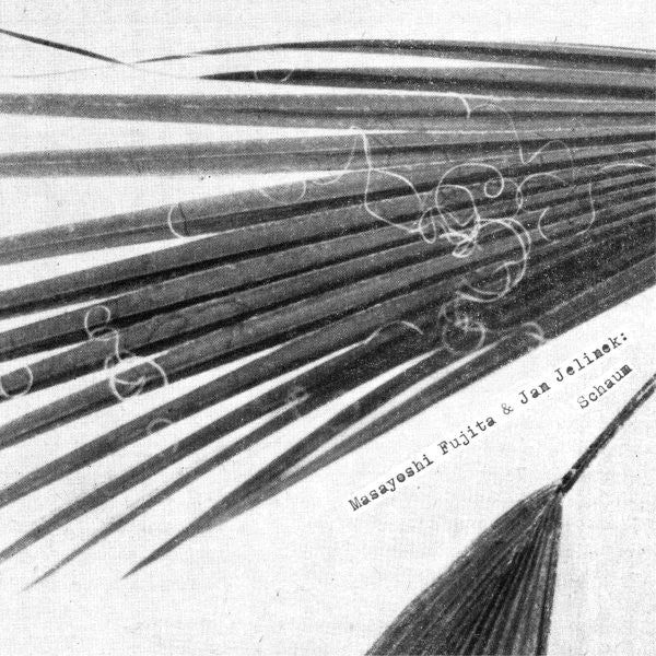 Masayoshi Fujita & Jan Jelinek : Schaum (LP, Album)