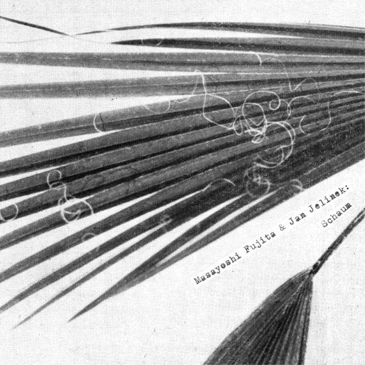 Masayoshi Fujita & Jan Jelinek : Schaum (LP, Album)