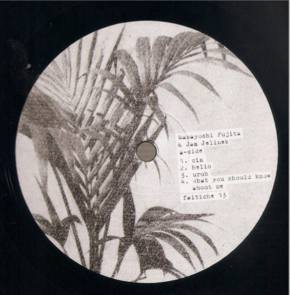 Masayoshi Fujita & Jan Jelinek : Schaum (LP, Album)