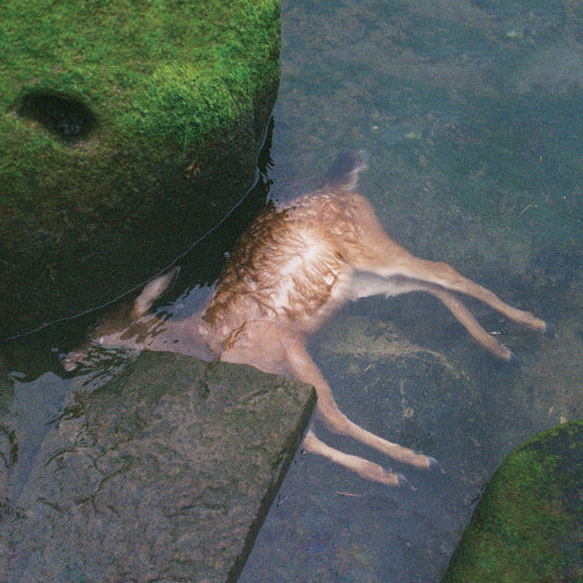 Pro Teens : Accidentally (LP, Album, Oli)