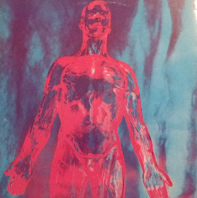 Nirvana : Sliver (12", Single)