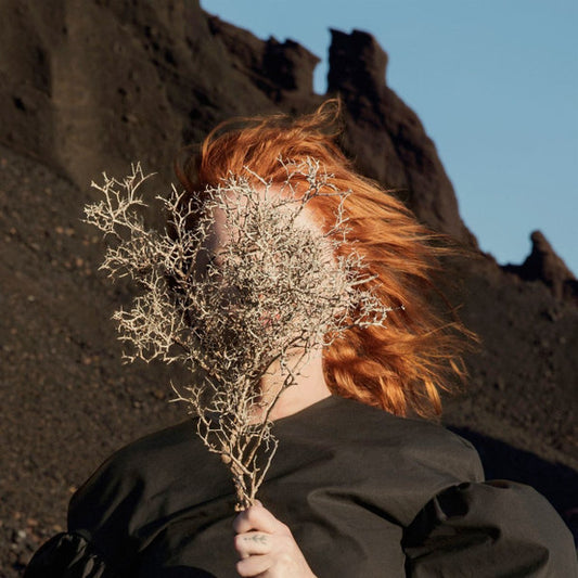 Goldfrapp : Silver Eye (LP, Album, Ltd, Cle)
