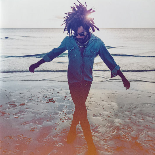 Lenny Kravitz : Raise Vibration (2xLP, Album)