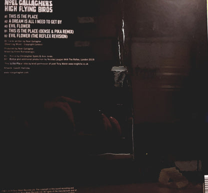 Noel Gallagher's High Flying Birds : This Is The Place (12", Single, Ltd, Tur)