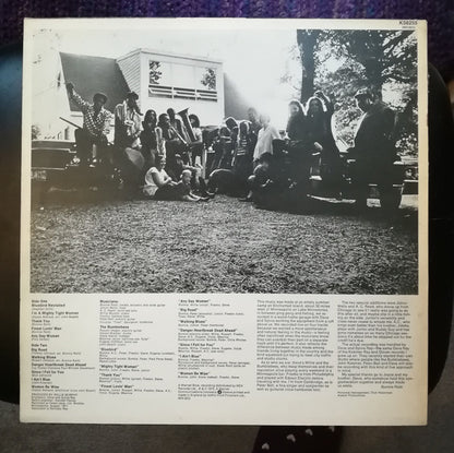Bonnie Raitt : Bonnie Raitt (LP, Album, RP)